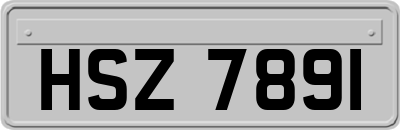 HSZ7891