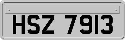 HSZ7913