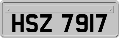 HSZ7917