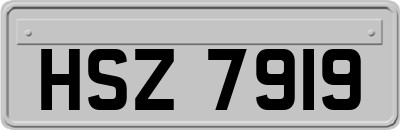 HSZ7919