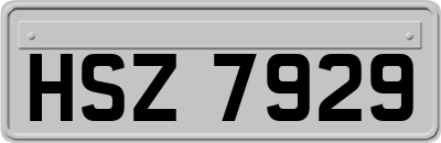 HSZ7929
