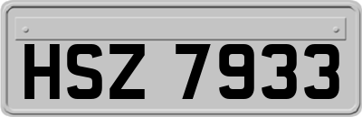 HSZ7933