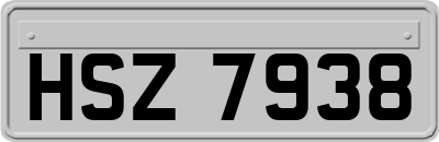 HSZ7938