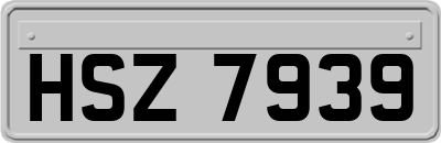 HSZ7939