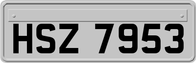 HSZ7953