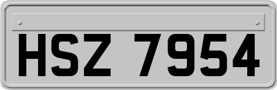 HSZ7954