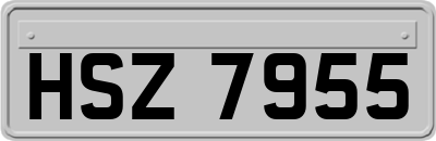 HSZ7955