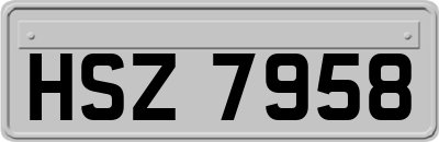 HSZ7958