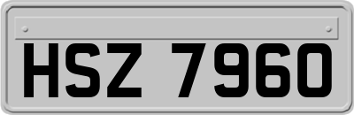 HSZ7960