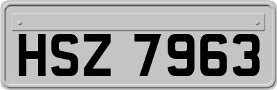 HSZ7963