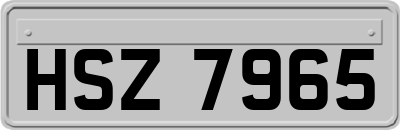 HSZ7965