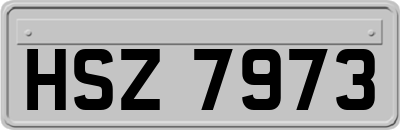 HSZ7973