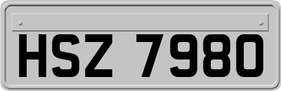 HSZ7980