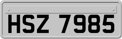 HSZ7985