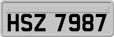 HSZ7987