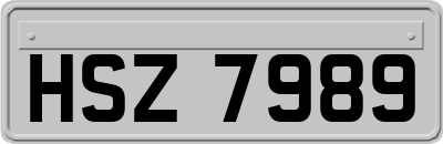HSZ7989