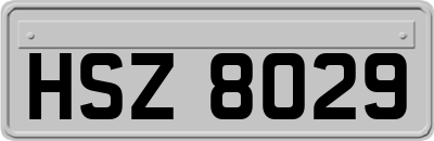 HSZ8029
