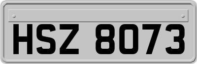 HSZ8073