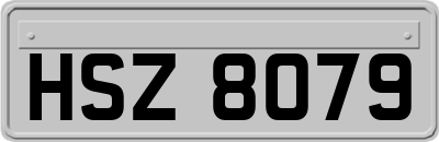 HSZ8079