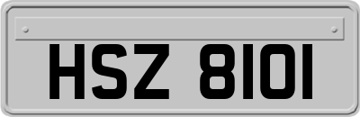 HSZ8101