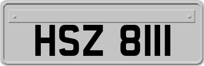 HSZ8111