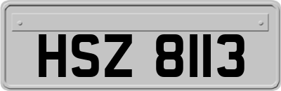 HSZ8113