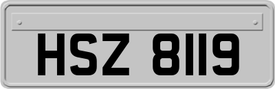 HSZ8119
