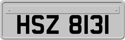HSZ8131