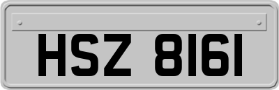 HSZ8161