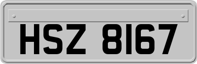 HSZ8167