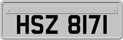 HSZ8171