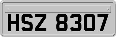 HSZ8307