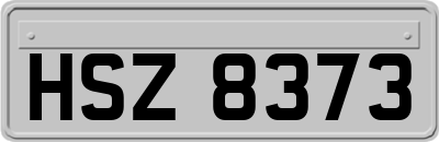 HSZ8373