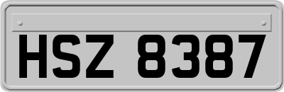 HSZ8387