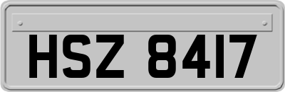 HSZ8417