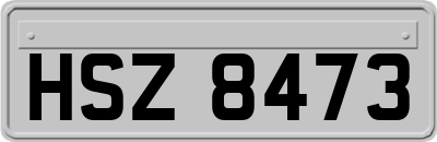 HSZ8473