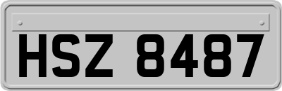 HSZ8487