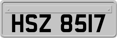 HSZ8517