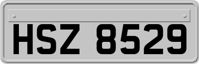 HSZ8529