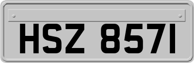 HSZ8571