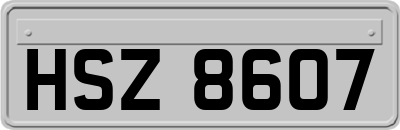 HSZ8607