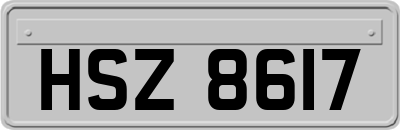 HSZ8617