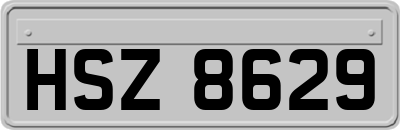 HSZ8629