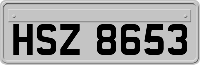 HSZ8653