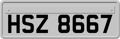 HSZ8667