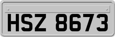 HSZ8673