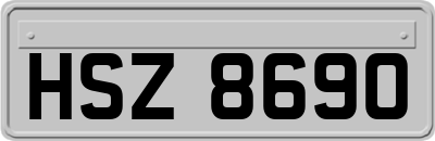 HSZ8690