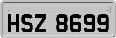 HSZ8699