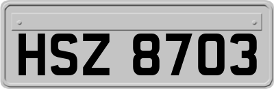 HSZ8703
