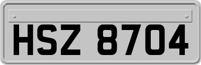 HSZ8704